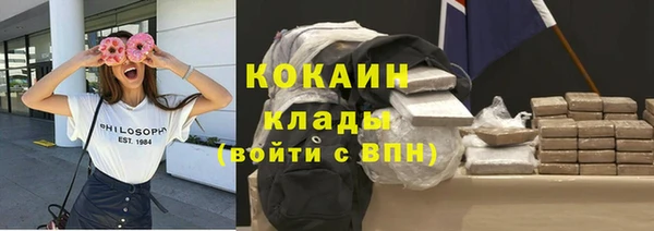 твердый Няндома