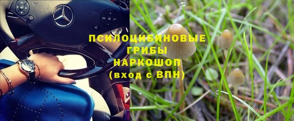 твердый Няндома